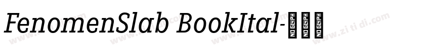 FenomenSlab BookItal字体转换